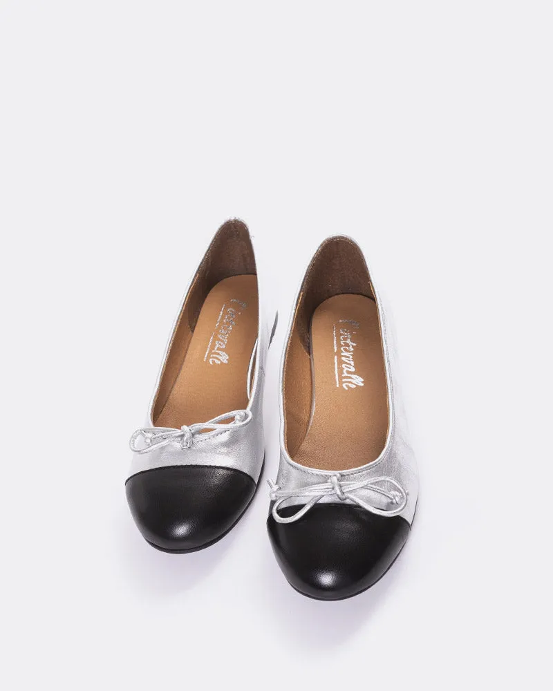 Cuir argenté Bory