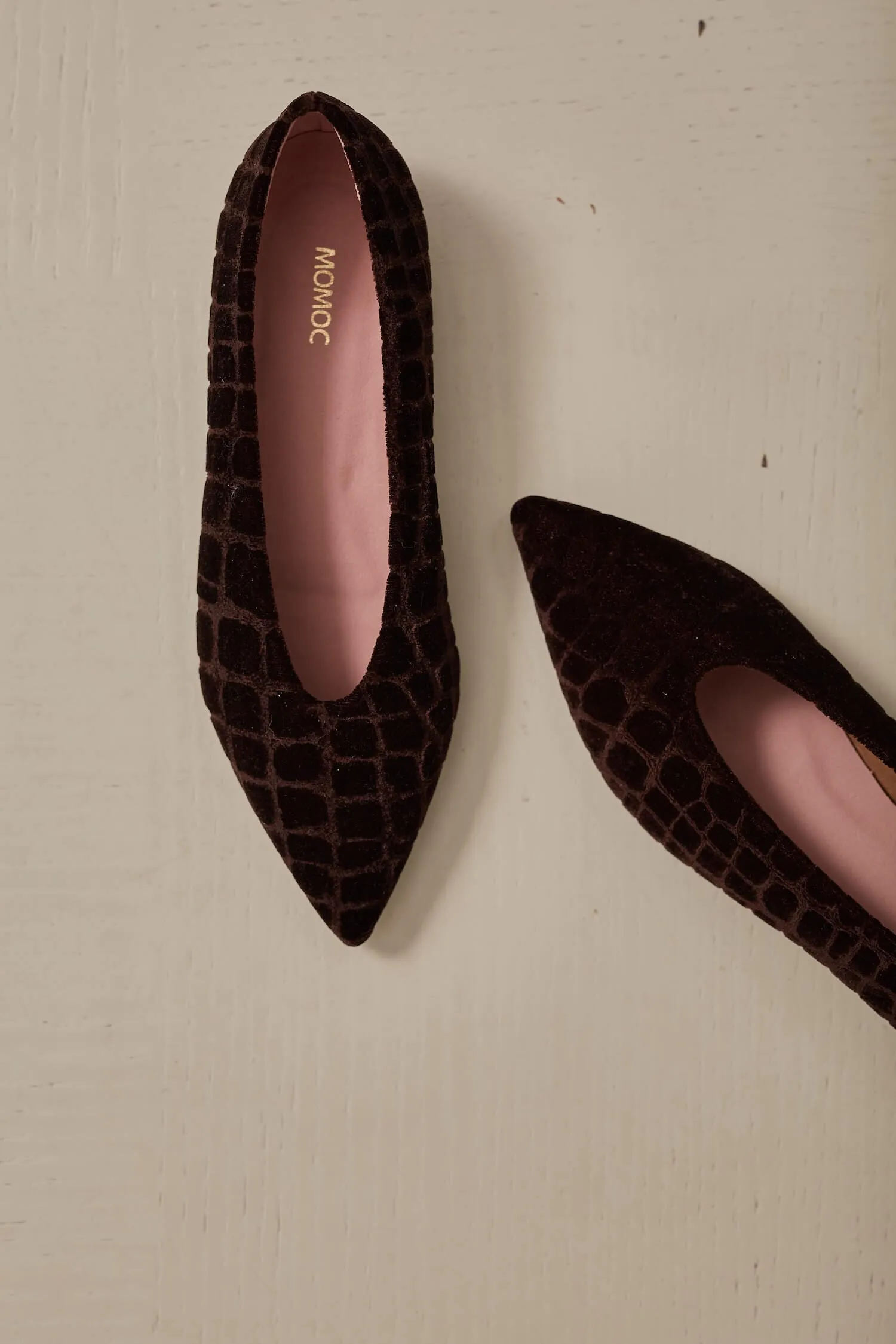 Coco V.2 Ballerines Pointues Végan Velours | Terre