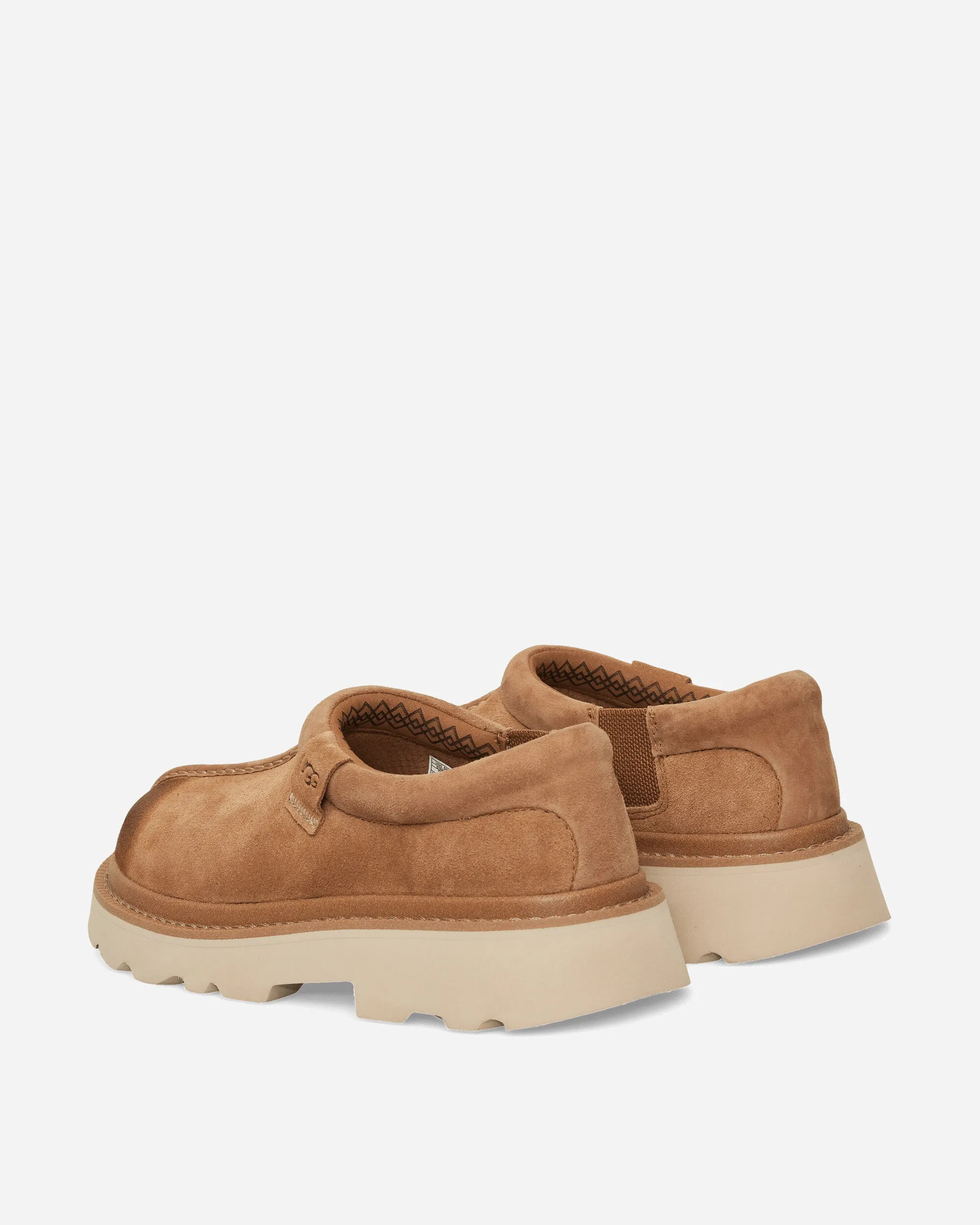 Clogs Tasman pour Homme Marron