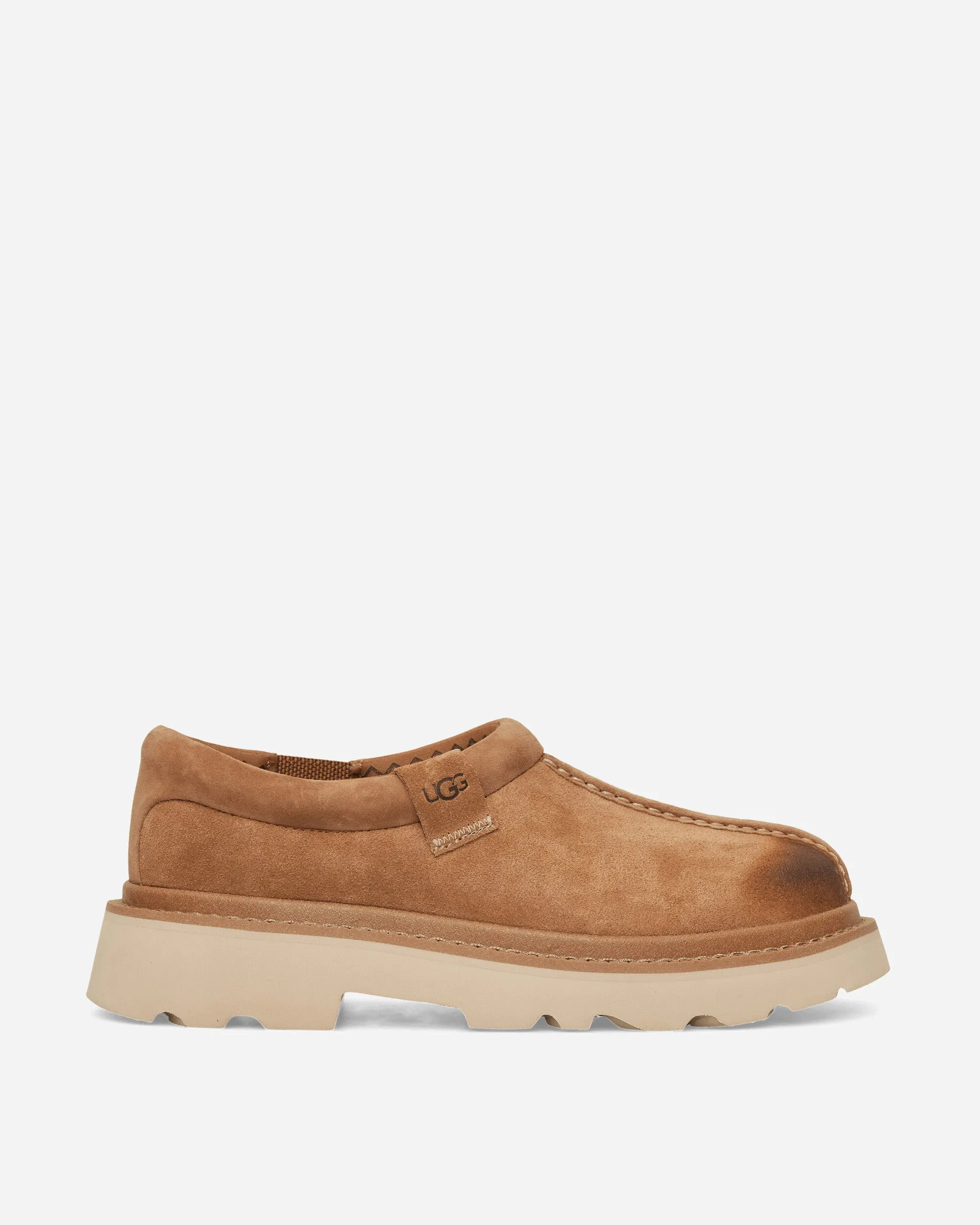 Clogs Tasman pour Homme Marron